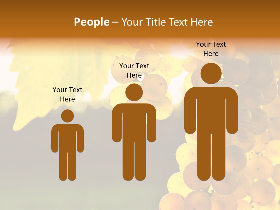 Sunny Agricultural Agriculture PowerPoint Template