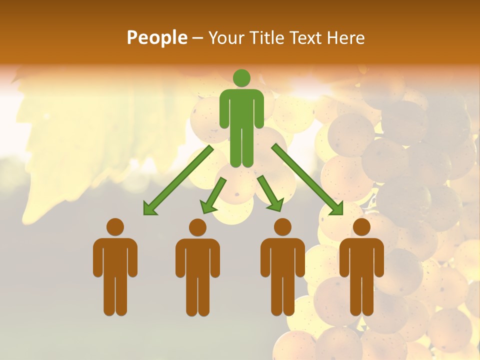 Sunny Agricultural Agriculture PowerPoint Template