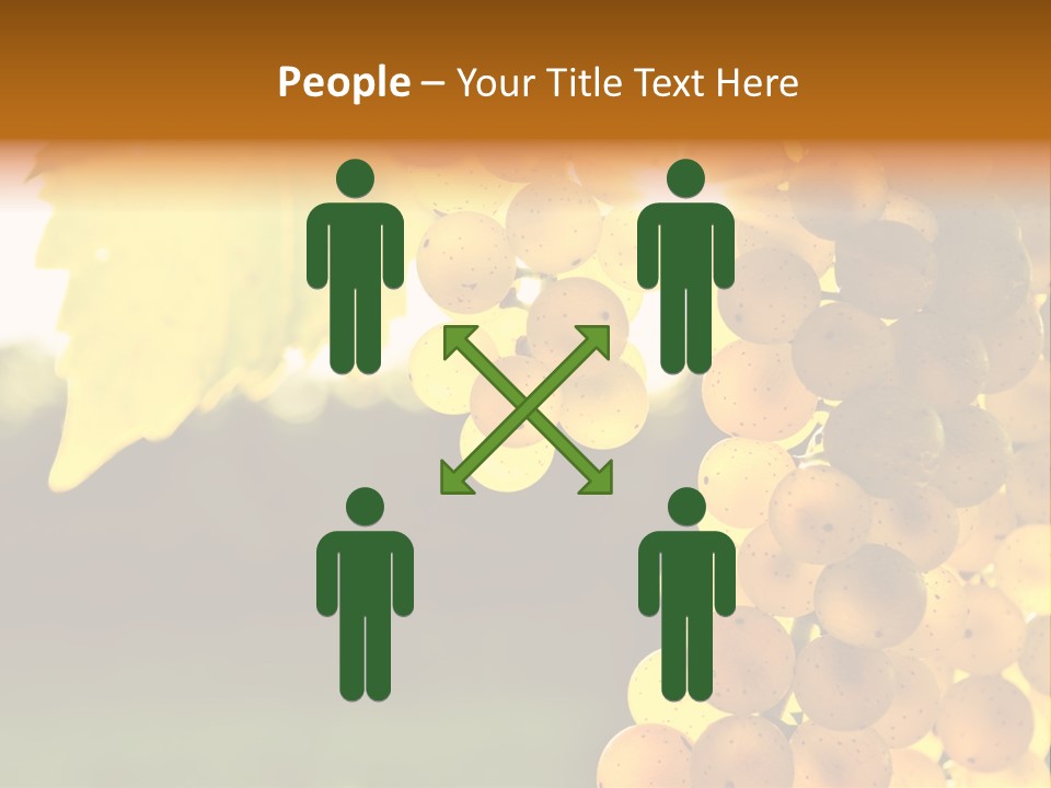 Sunny Agricultural Agriculture PowerPoint Template