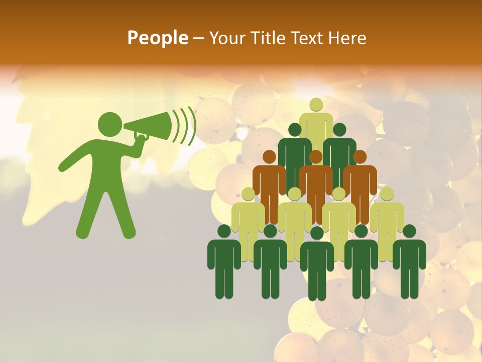 Sunny Agricultural Agriculture PowerPoint Template