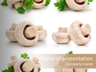 Peduncle Three Harvest PowerPoint Template