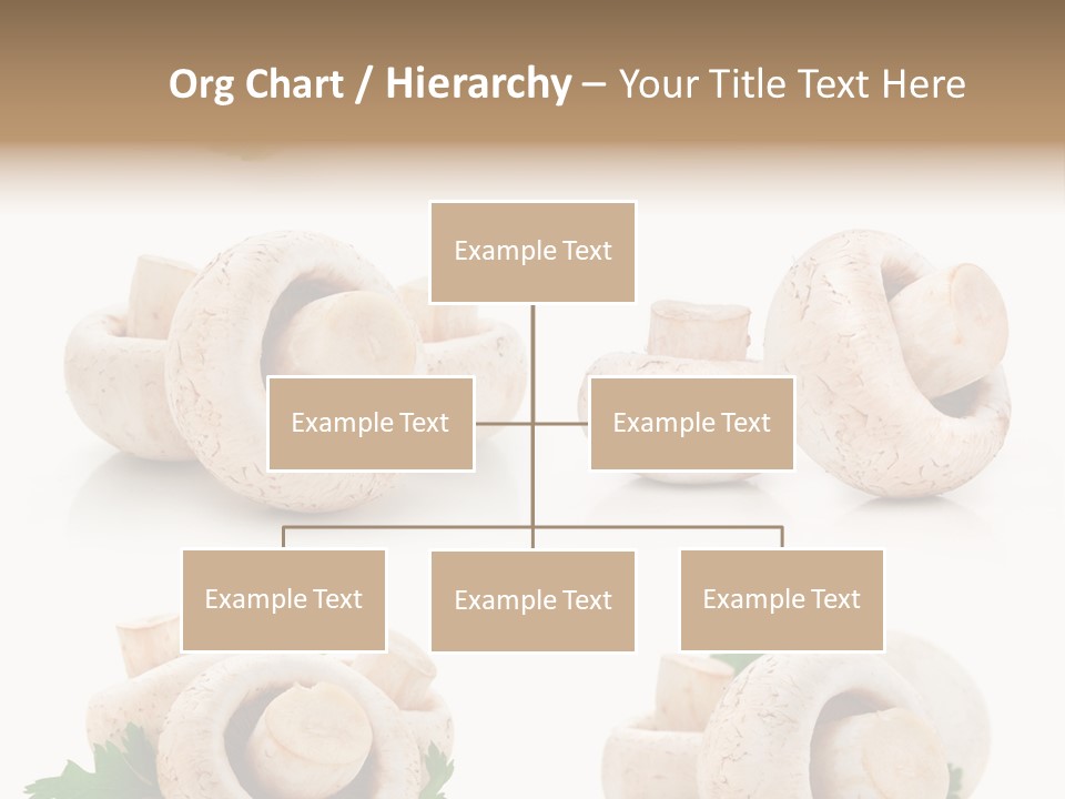 Peduncle Three Harvest PowerPoint Template