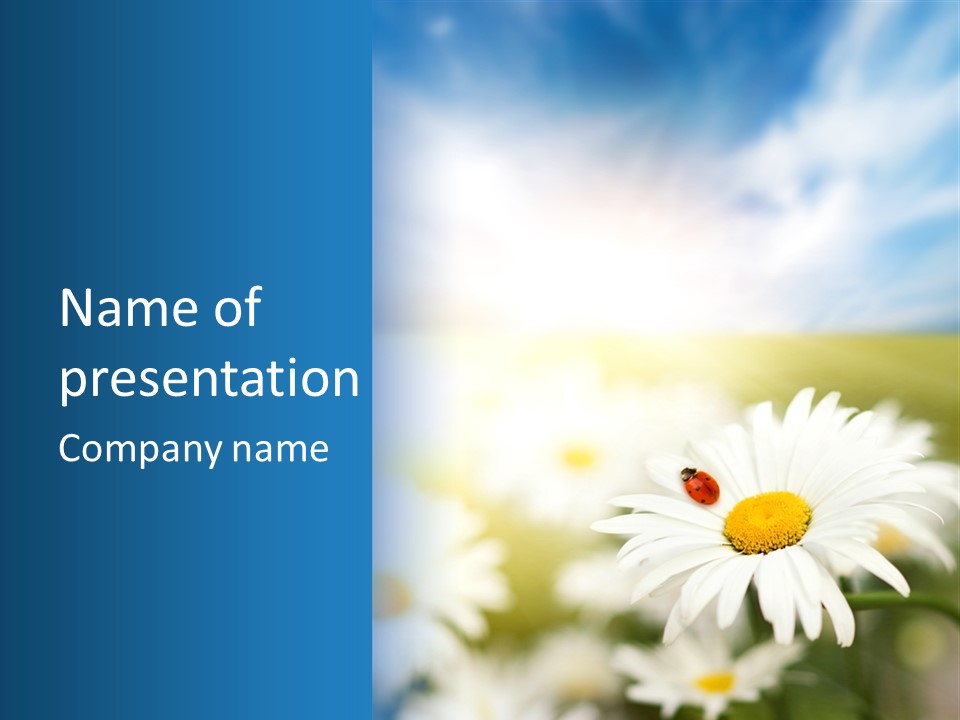 Meadow Peace Camomile PowerPoint Template