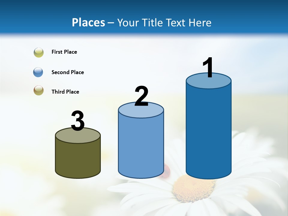 Meadow Peace Camomile PowerPoint Template