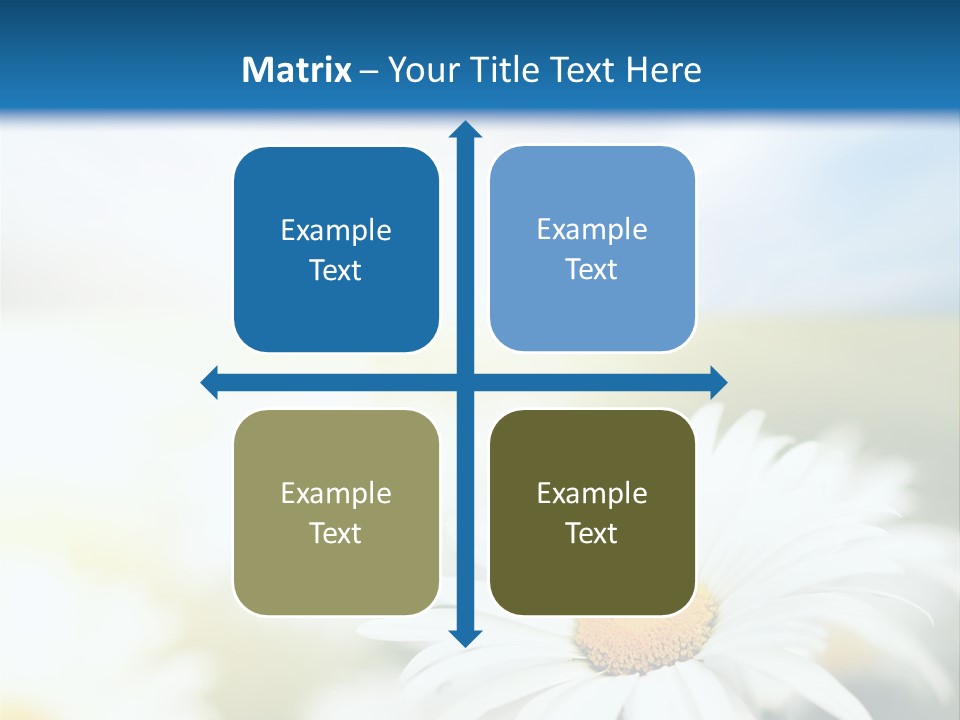 Meadow Peace Camomile PowerPoint Template