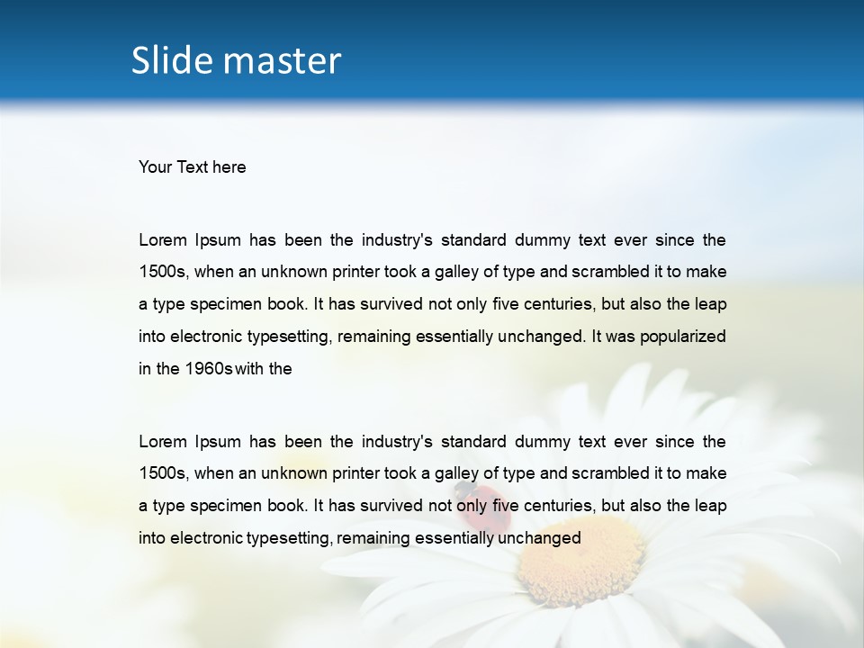 Meadow Peace Camomile PowerPoint Template