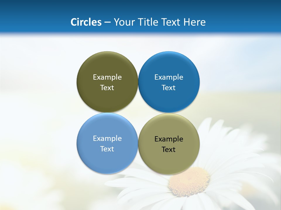 Meadow Peace Camomile PowerPoint Template