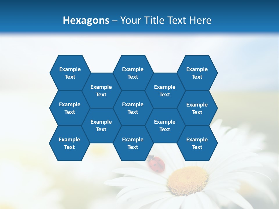 Meadow Peace Camomile PowerPoint Template