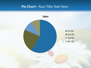 Meadow Peace Camomile PowerPoint Template