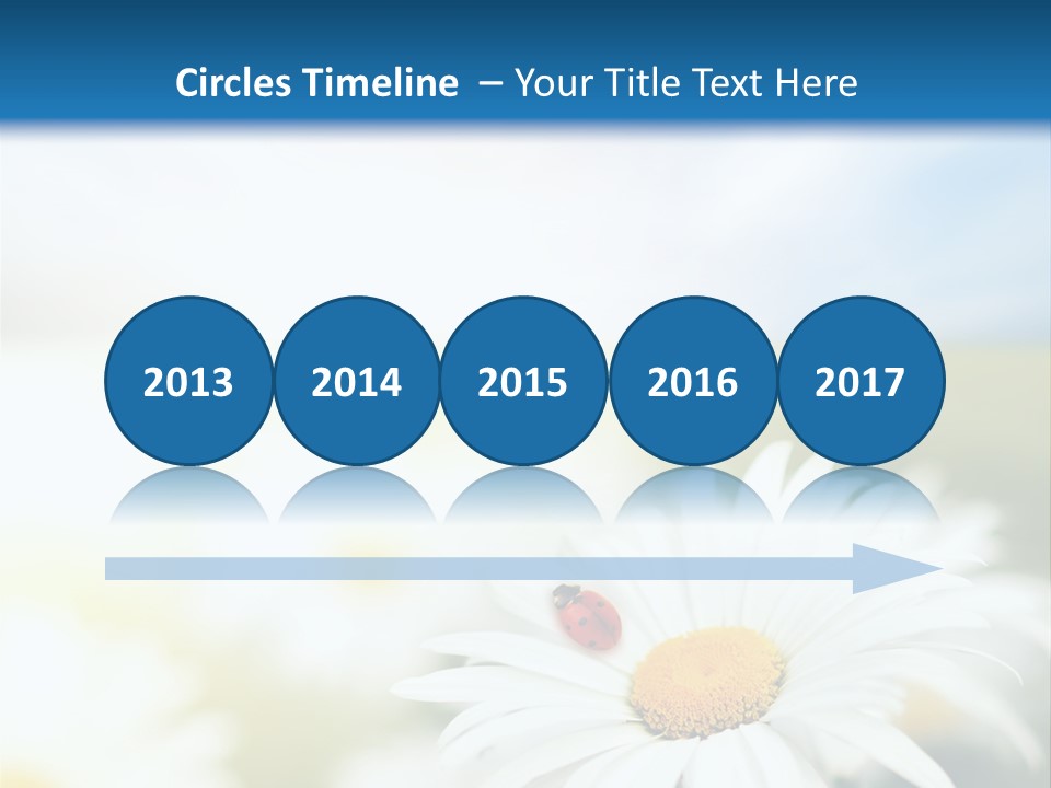 Meadow Peace Camomile PowerPoint Template