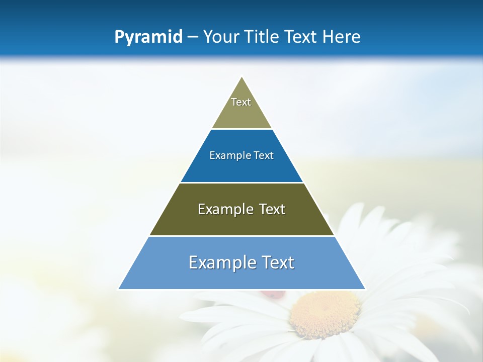 Meadow Peace Camomile PowerPoint Template