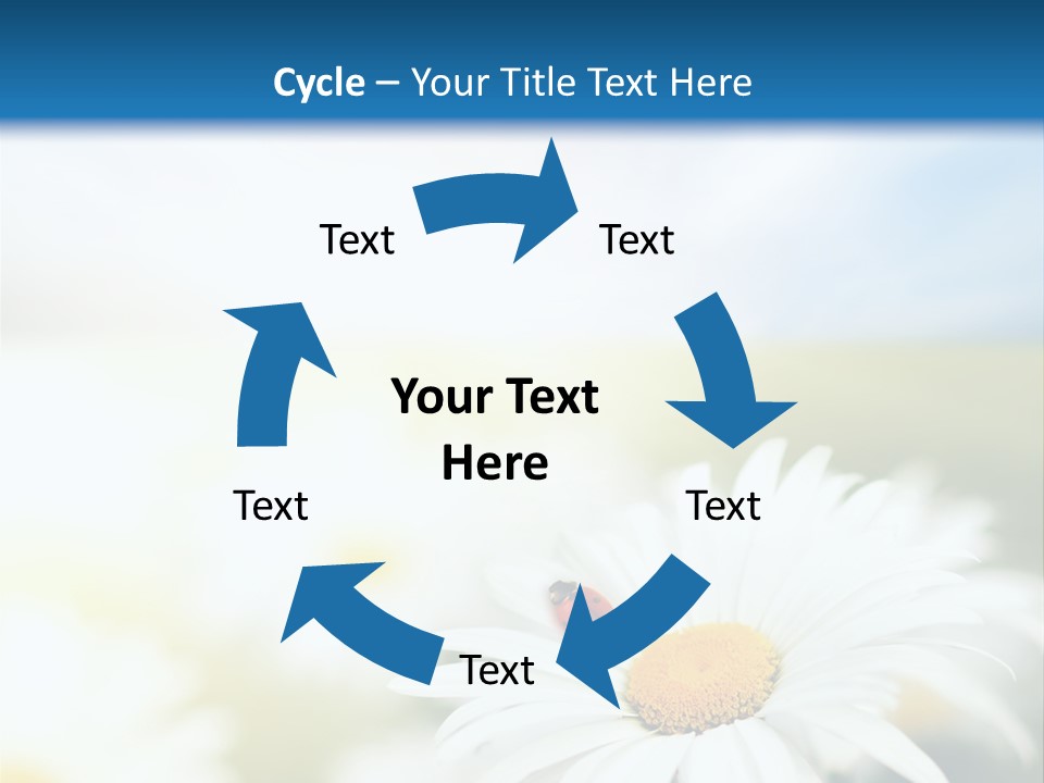Meadow Peace Camomile PowerPoint Template