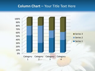 Meadow Peace Camomile PowerPoint Template