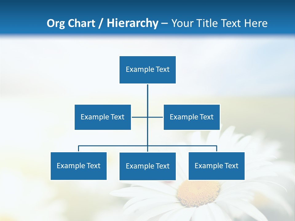 Meadow Peace Camomile PowerPoint Template