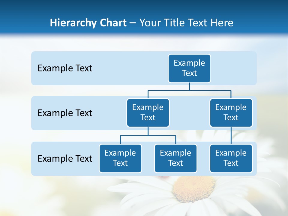 Meadow Peace Camomile PowerPoint Template