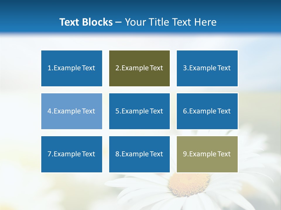 Meadow Peace Camomile PowerPoint Template