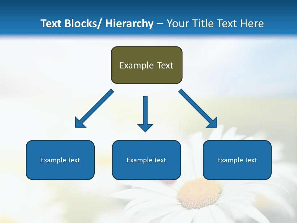 Meadow Peace Camomile PowerPoint Template