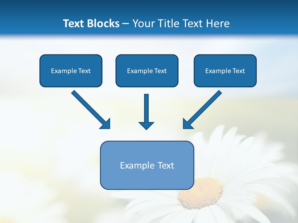 Meadow Peace Camomile PowerPoint Template