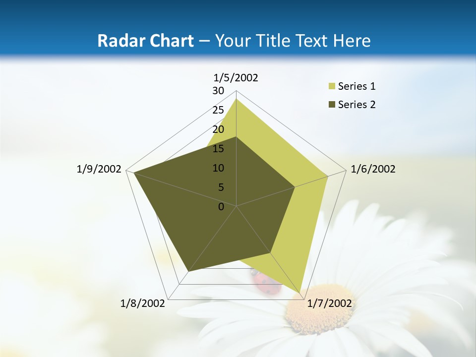 Meadow Peace Camomile PowerPoint Template