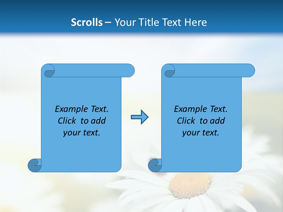 Meadow Peace Camomile PowerPoint Template
