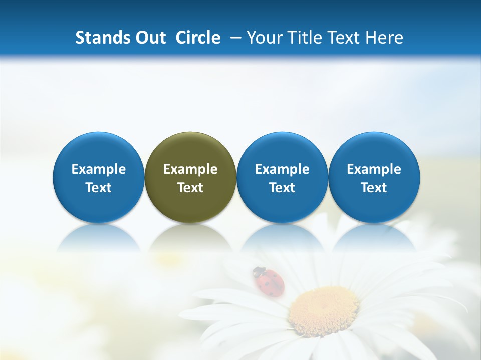 Meadow Peace Camomile PowerPoint Template