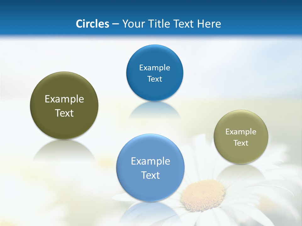 Meadow Peace Camomile PowerPoint Template