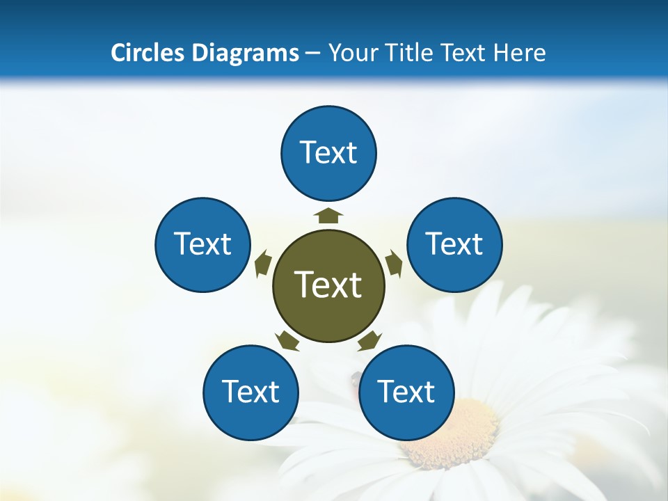 Meadow Peace Camomile PowerPoint Template