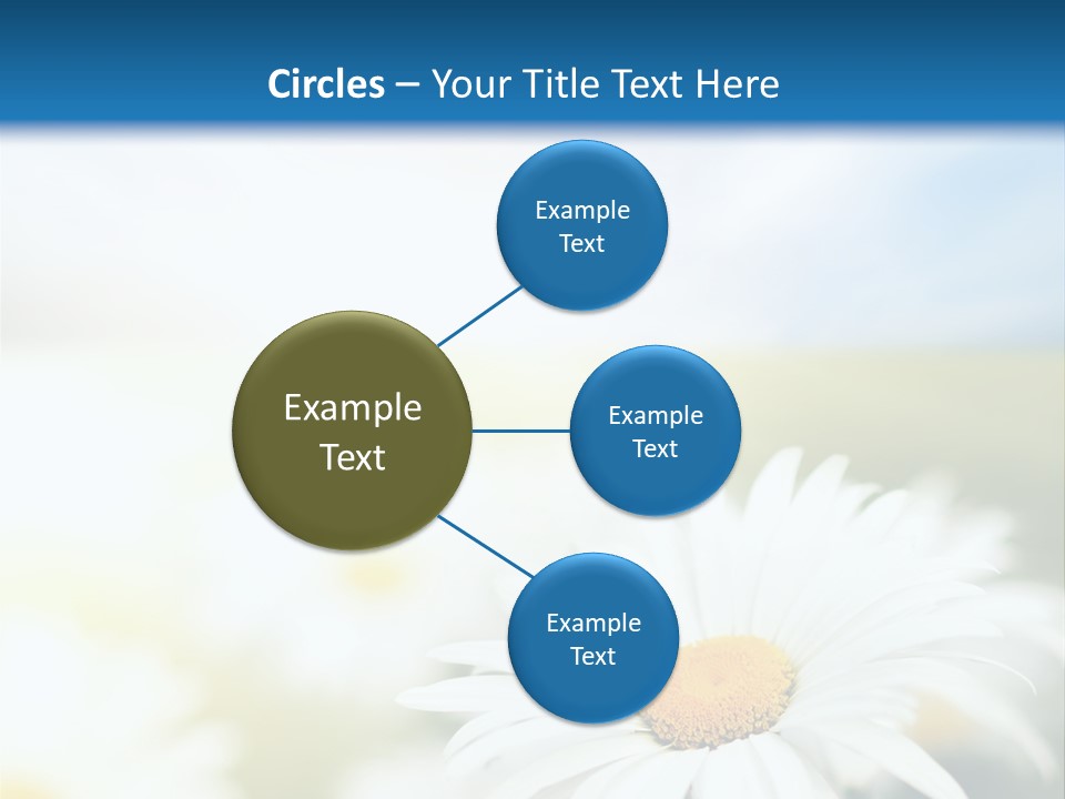 Meadow Peace Camomile PowerPoint Template