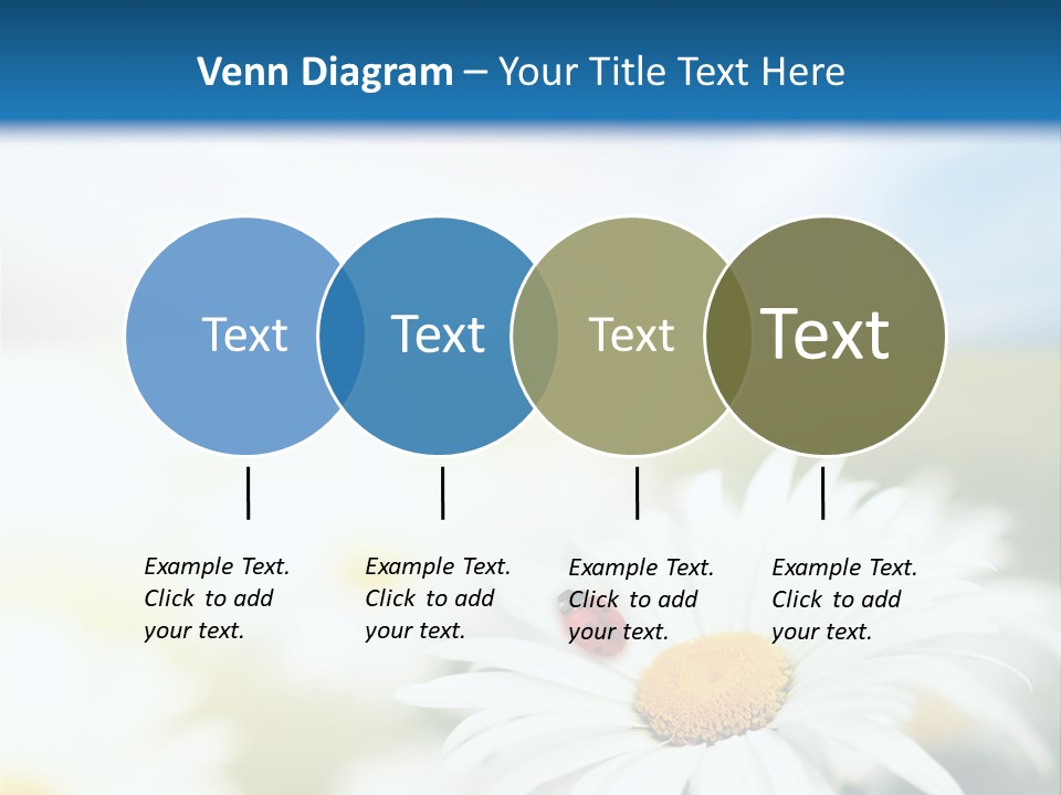 Meadow Peace Camomile PowerPoint Template