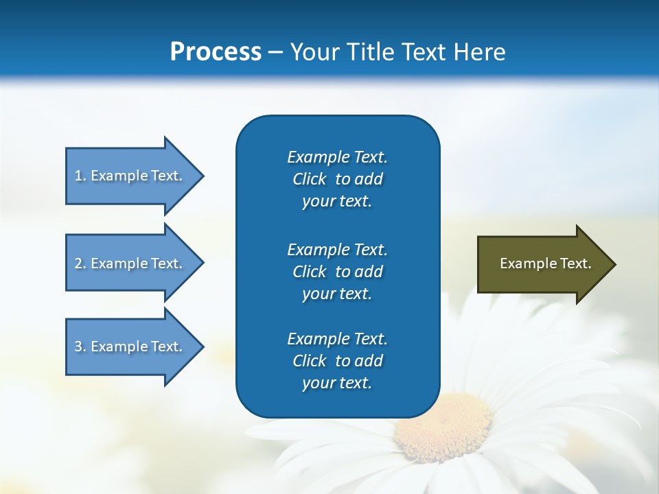 Meadow Peace Camomile PowerPoint Template