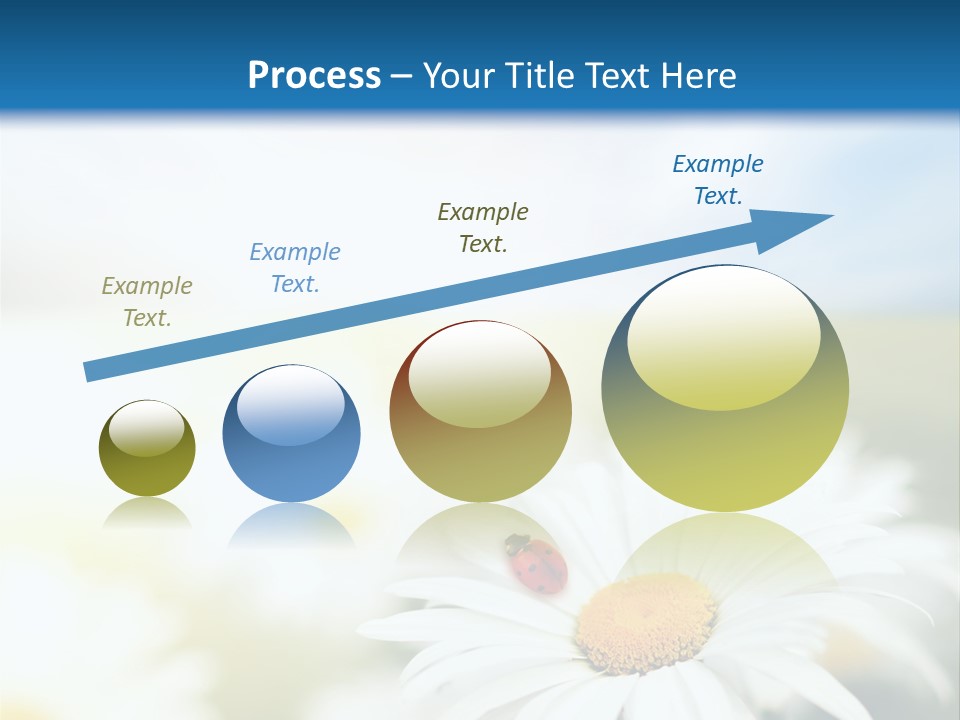 Meadow Peace Camomile PowerPoint Template