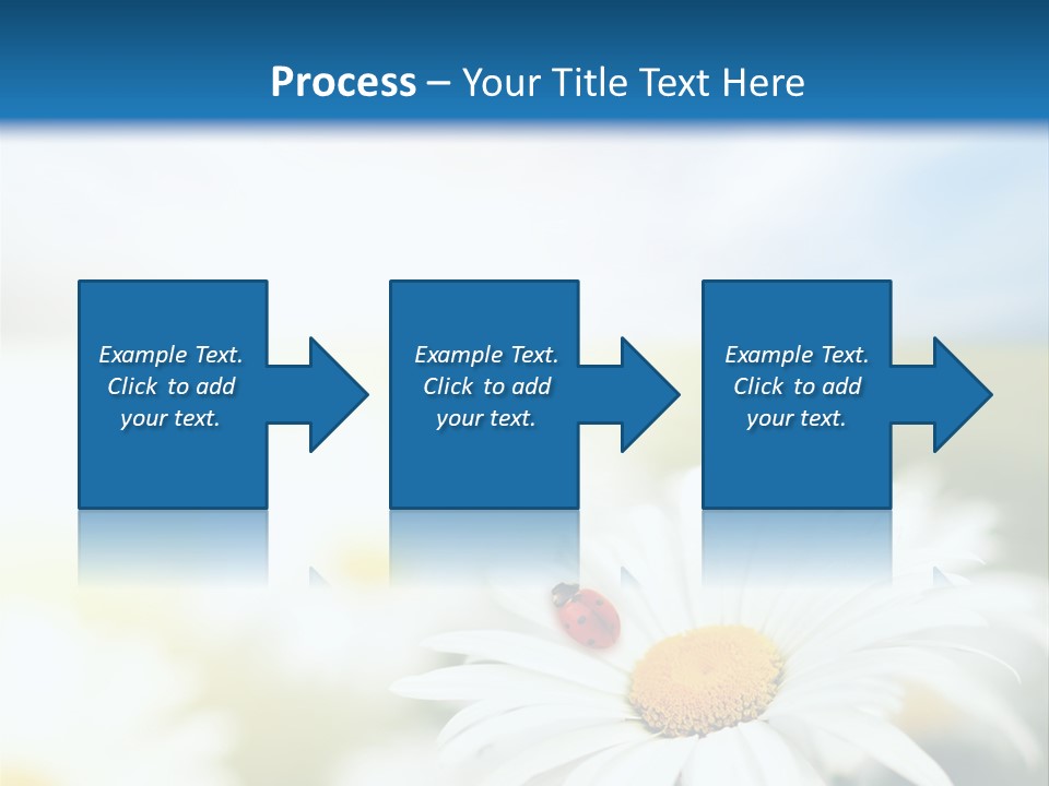 Meadow Peace Camomile PowerPoint Template