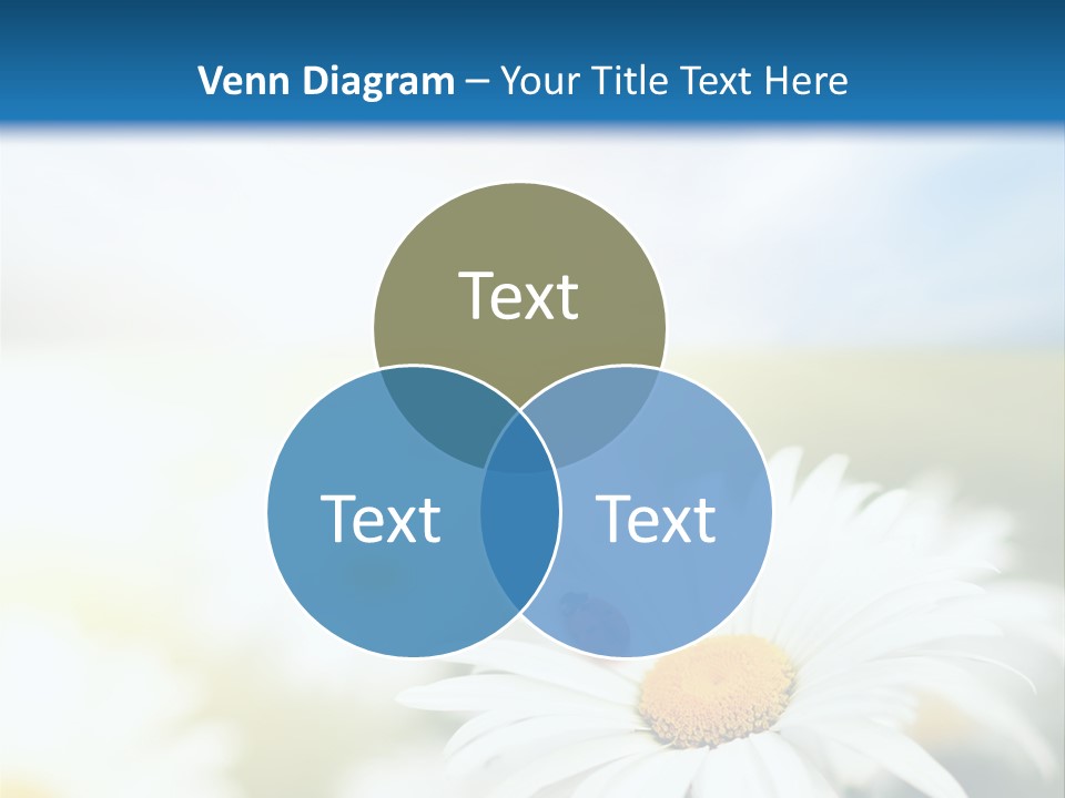 Meadow Peace Camomile PowerPoint Template