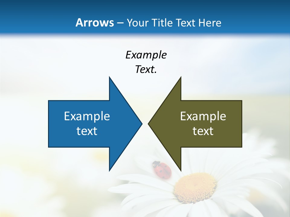 Meadow Peace Camomile PowerPoint Template