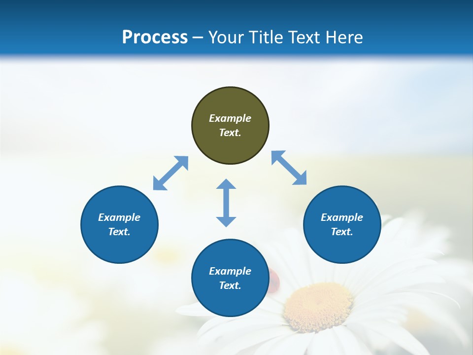 Meadow Peace Camomile PowerPoint Template