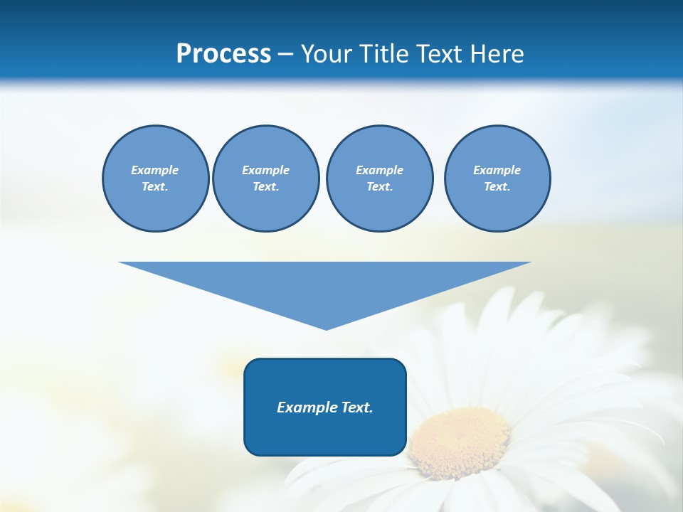 Meadow Peace Camomile PowerPoint Template