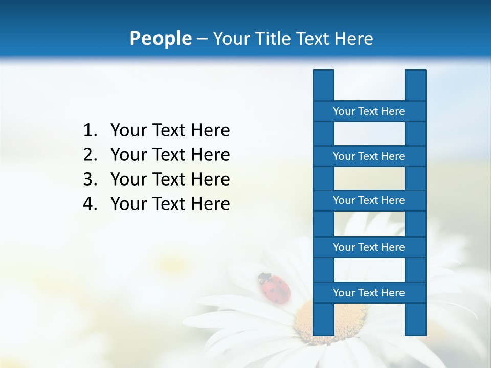 Meadow Peace Camomile PowerPoint Template
