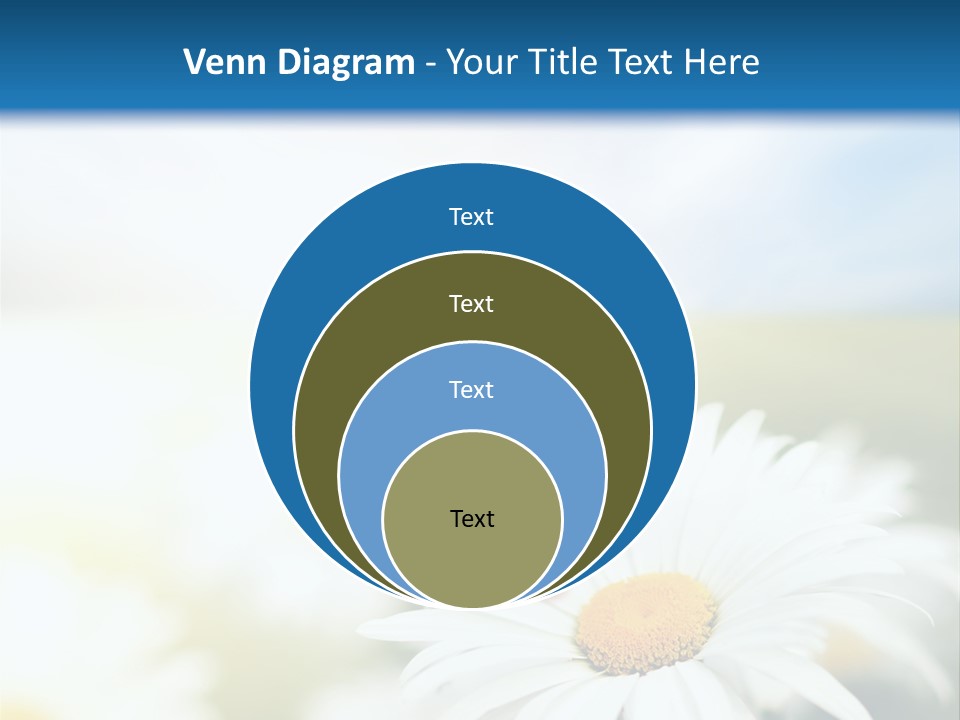 Meadow Peace Camomile PowerPoint Template