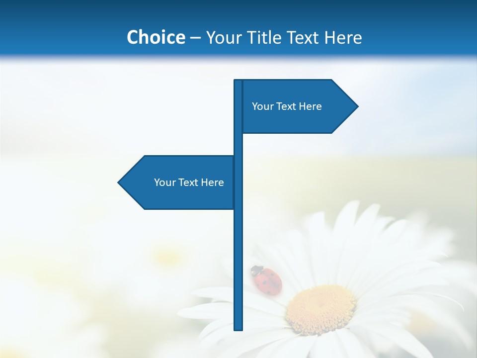 Meadow Peace Camomile PowerPoint Template