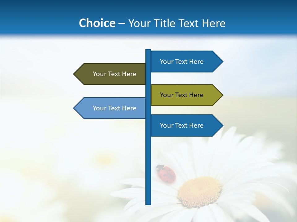 Meadow Peace Camomile PowerPoint Template