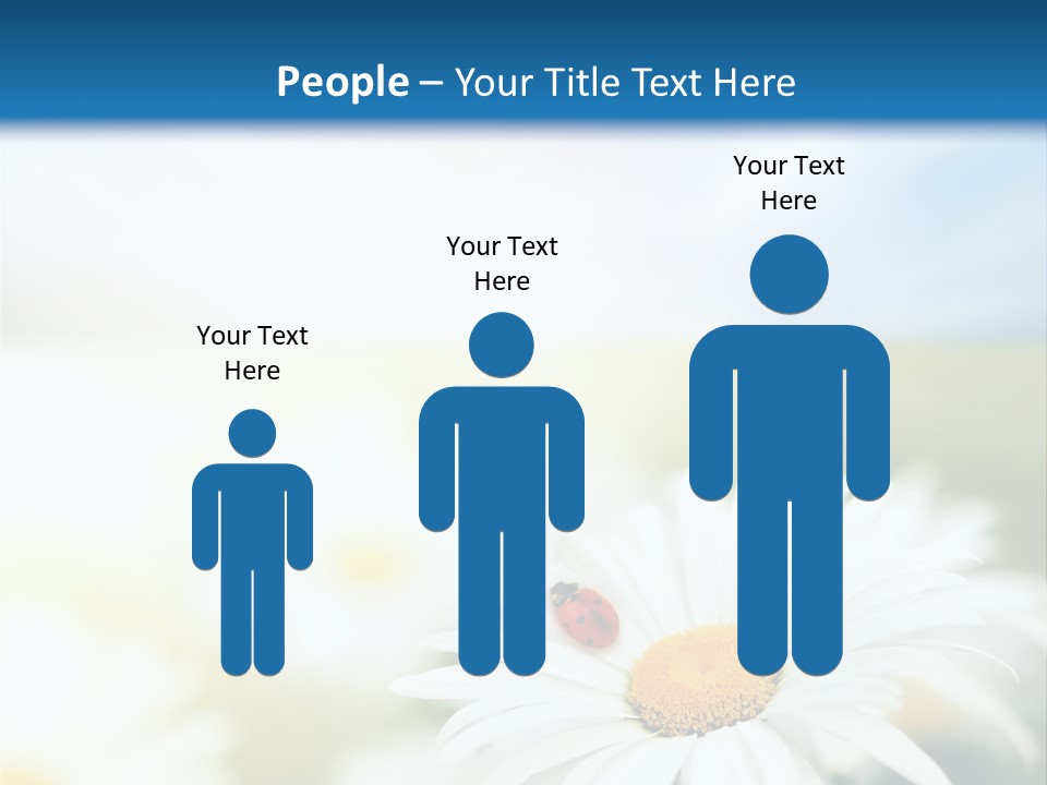 Meadow Peace Camomile PowerPoint Template