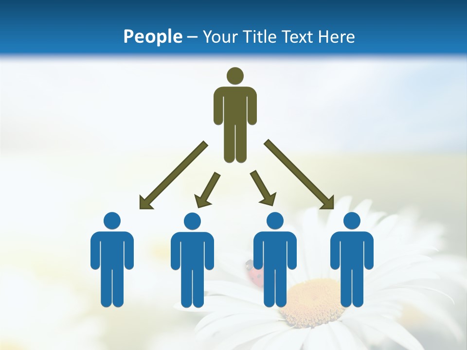 Meadow Peace Camomile PowerPoint Template