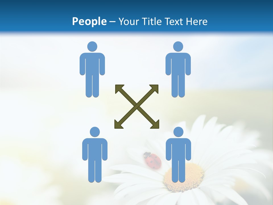 Meadow Peace Camomile PowerPoint Template