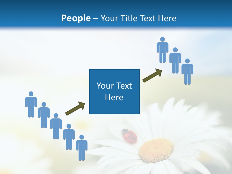 Meadow Peace Camomile PowerPoint Template
