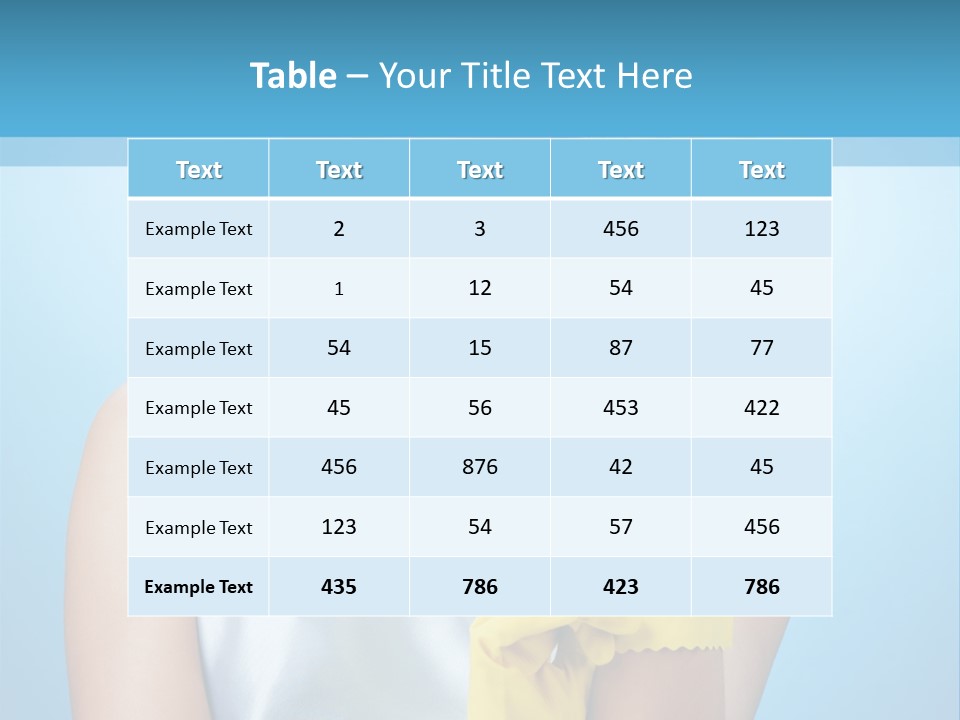 Pretty Housework Portrait PowerPoint Template