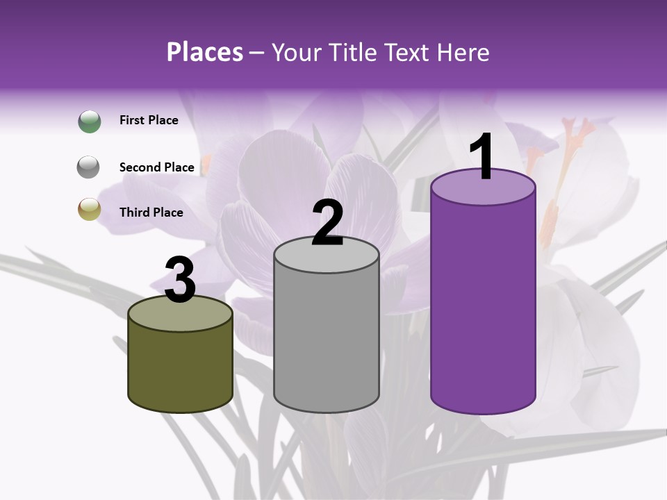 A Vase Filled With Purple And White Flowers PowerPoint Template