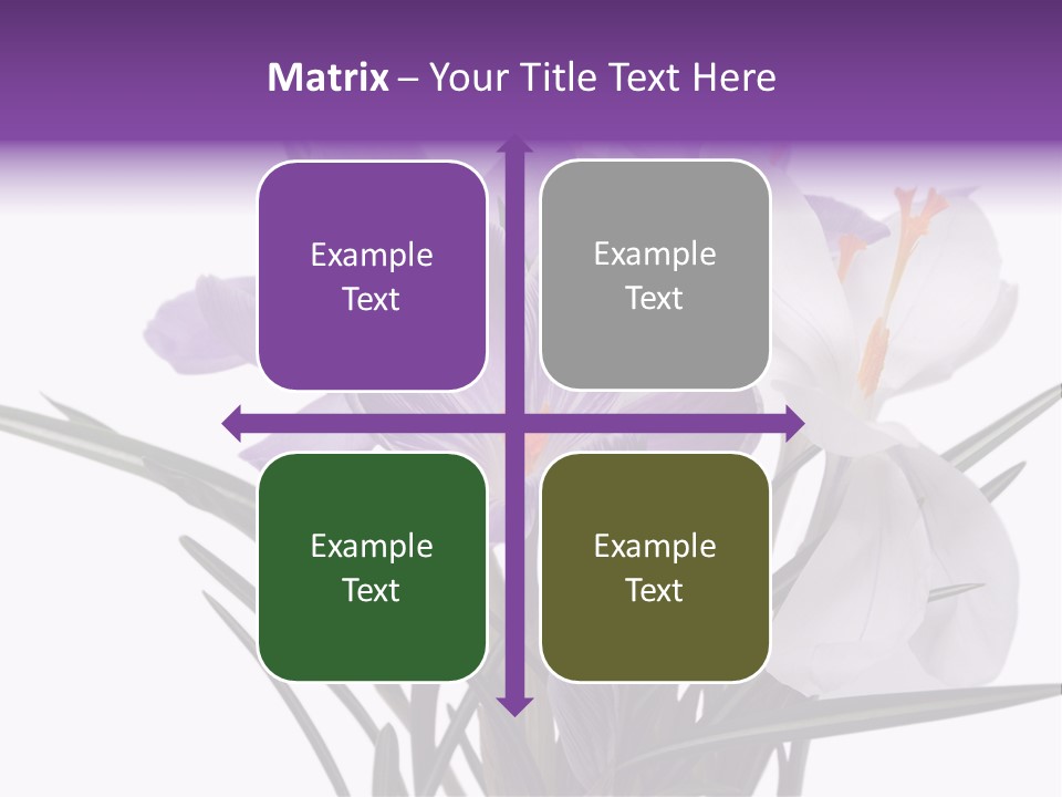 A Vase Filled With Purple And White Flowers PowerPoint Template