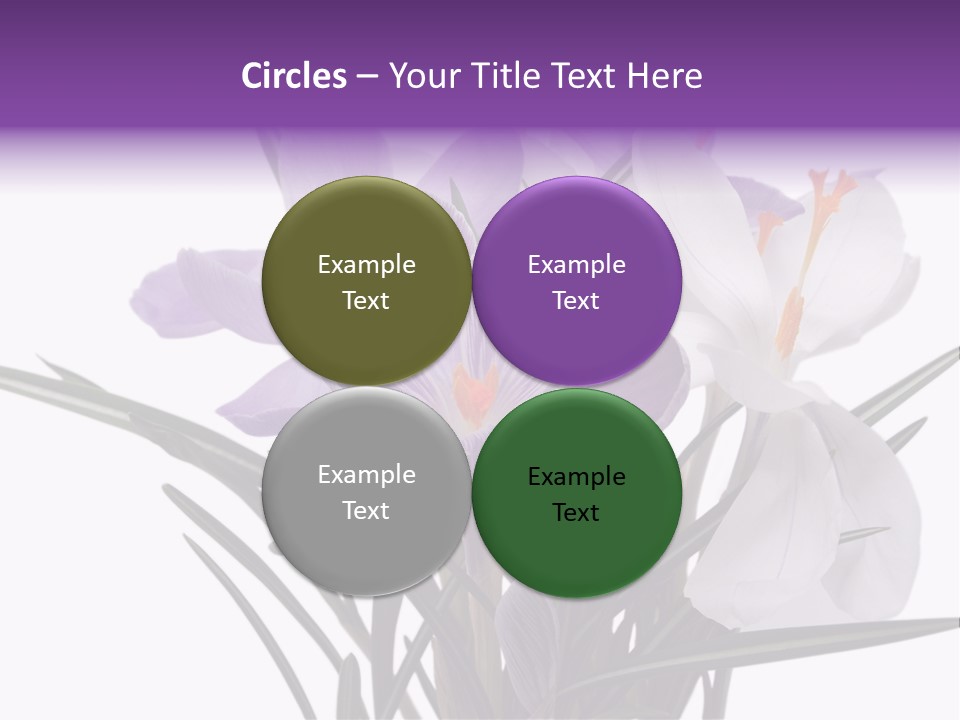 A Vase Filled With Purple And White Flowers PowerPoint Template