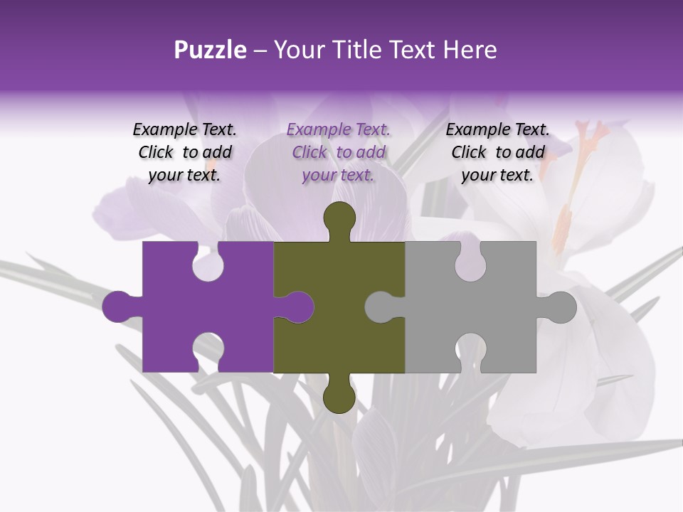 A Vase Filled With Purple And White Flowers PowerPoint Template