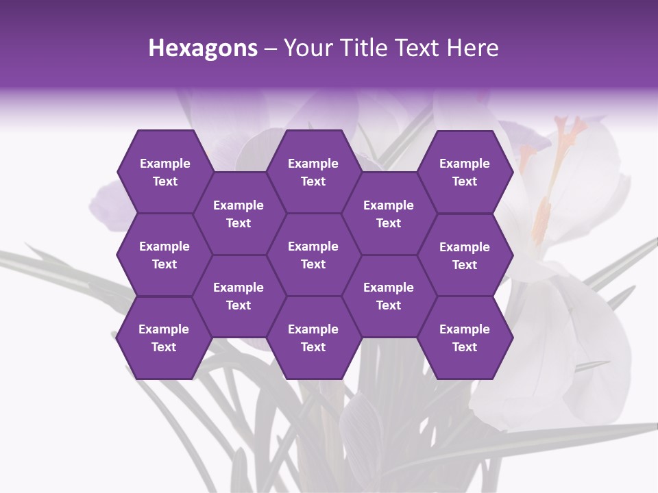 A Vase Filled With Purple And White Flowers PowerPoint Template